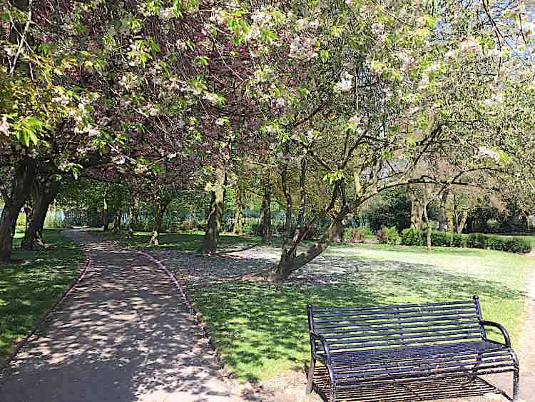 Lasting Power of Attorney Solicitor